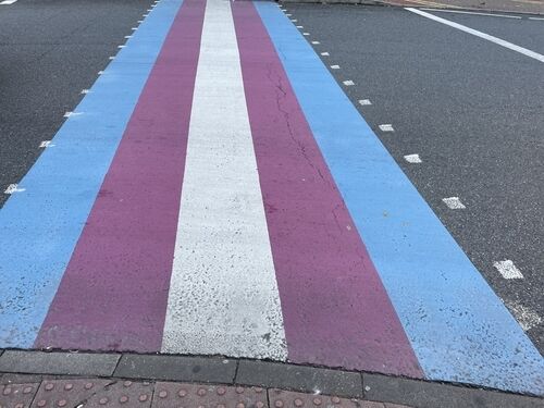 Trans themed crossing