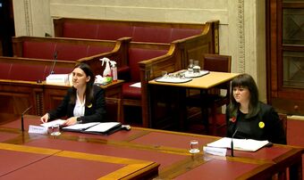 Lauren and Bex before Justice Committee