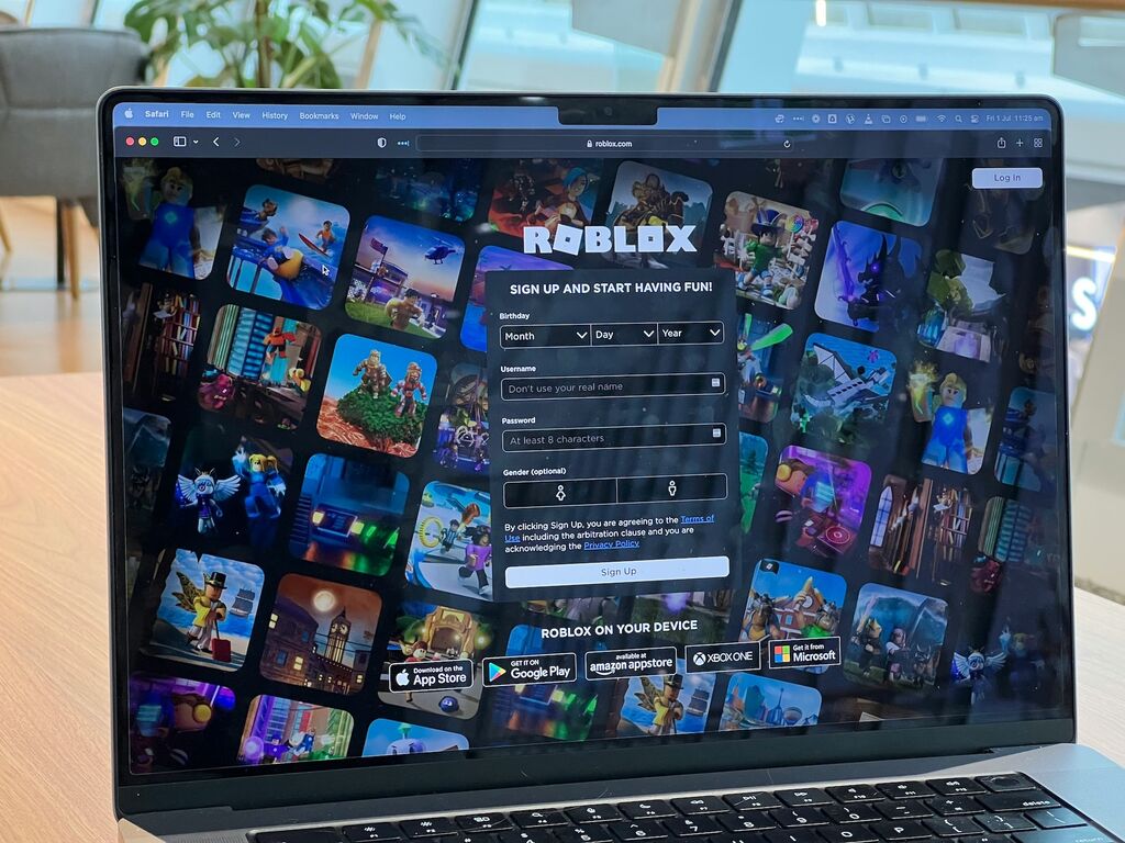 Roblox online gaming