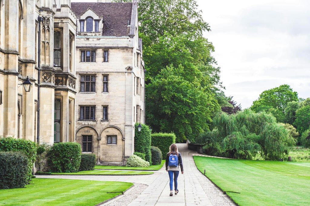 University student learning